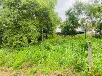 Valuble Land For Sale In  Ambalanthota