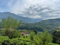 Tea Land Sale in Kothamale