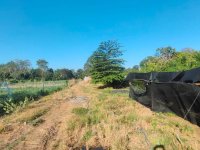 Land for sale in Wellawaya, suitable for agriculture and tourism.