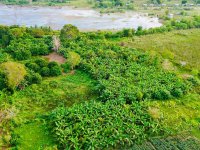 valuble land for sale in katharagama