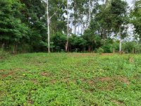 Land With House For Sale - Welimada