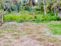Land For Sale In Katunayake