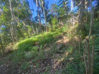 Valuable Land for Sale In Balangoda