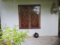 Land For Sale In Malwaththa