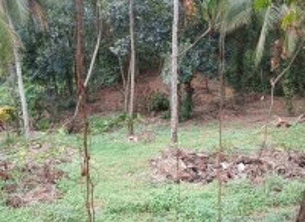 PRIME RESIDENTIAL LAND FOR SALE – THALAWATUGODA