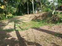 Valuable Land for Sale In Gonapola
