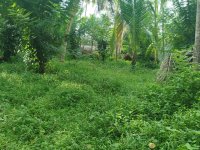 High Valuble Land For Sale In Kadawatha