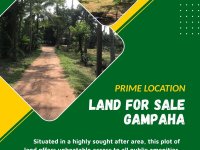 High Residential Land for Sale in Gampaha