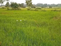 Land With House for Sale in Anuradhapura