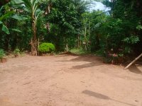 Land For Sale In Rabukkana