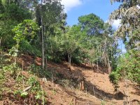 148P Land for in Kandy Gelioya