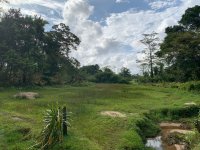 Land For Sale In Pitigala Elpitiya