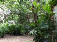 Valuble Land For Sale In Veyangoda