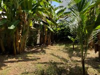 Land For Sale In Nikape , Dehiwala 