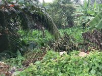 Owita Land for Sale