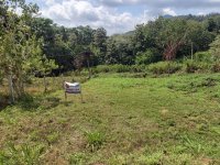 Valuable Land For Sale In Kurunagala