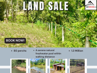 Valuble Land For Sale In Singharaja Forest In Lankagama