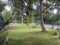 Land For Sale In Pannipitiya