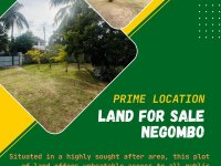 Prime Land with House for Sale in Negombo