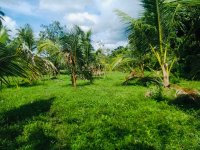 Valuable Land For Sale In Kurunagala 