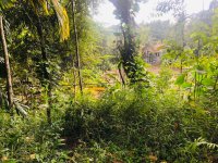 Land For Sale In Wattegama , Pitiyagedara