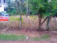 Valuable Land for sale Kuliyapitiya