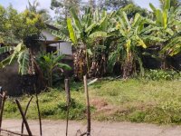 Valuable Land for Sale In Kiribathgoda
