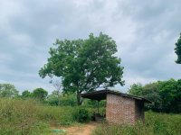 Land For Sale In Jayanthipura 