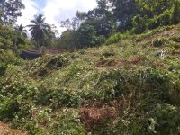 Valuable Land for Sale in Ratnapura