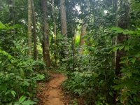 Valuable House with Land for Sale in Baddegama