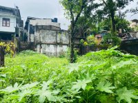 Valuble Residential  Land For Sale In Dehiwala