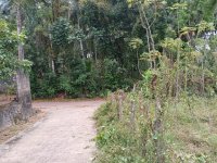 Residential Land For Sale in Kirindewela 