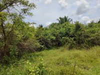 Valuable Land for Sale in Ganewatta