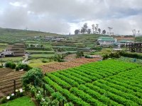 Valuable Land for Sale Nuwara Eliya