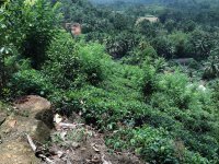 Valuble Land For Sale In Near To Karadagoda Town