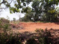 Valuable Land For Sale In Minuwangoda