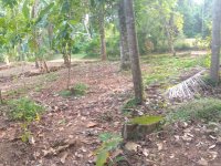 Land For Sale In Polgahawela