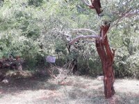 Valuble Land For Sale In  Kawanthissapura