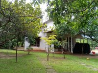 Valuble Land For Sale In  Dabulla 