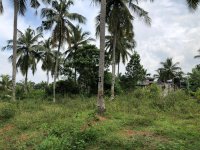 Highly Valuable Land for Sale Kotugoda