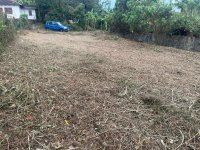 Valuable Land for Sale in Bandaragama
