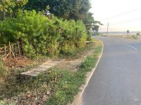 Commertial Valuble Land For Sale In Bundala