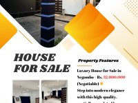 Luxury House for Sale In Negombo