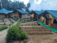 Hotel (Cottages) for Rent In Nuwaraeliya    