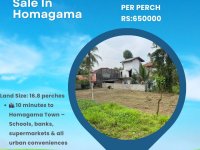 High Residential Land for Sale in Homagama
