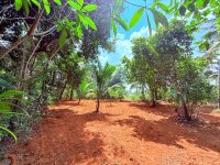 Land For Sale In Weliveriya